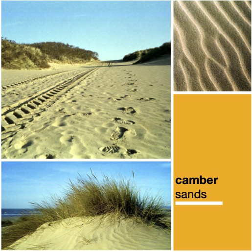 link to camber sands project.