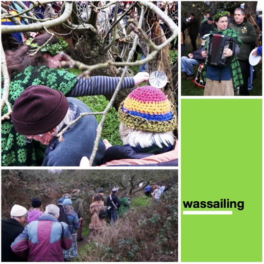 link to wassailing project.